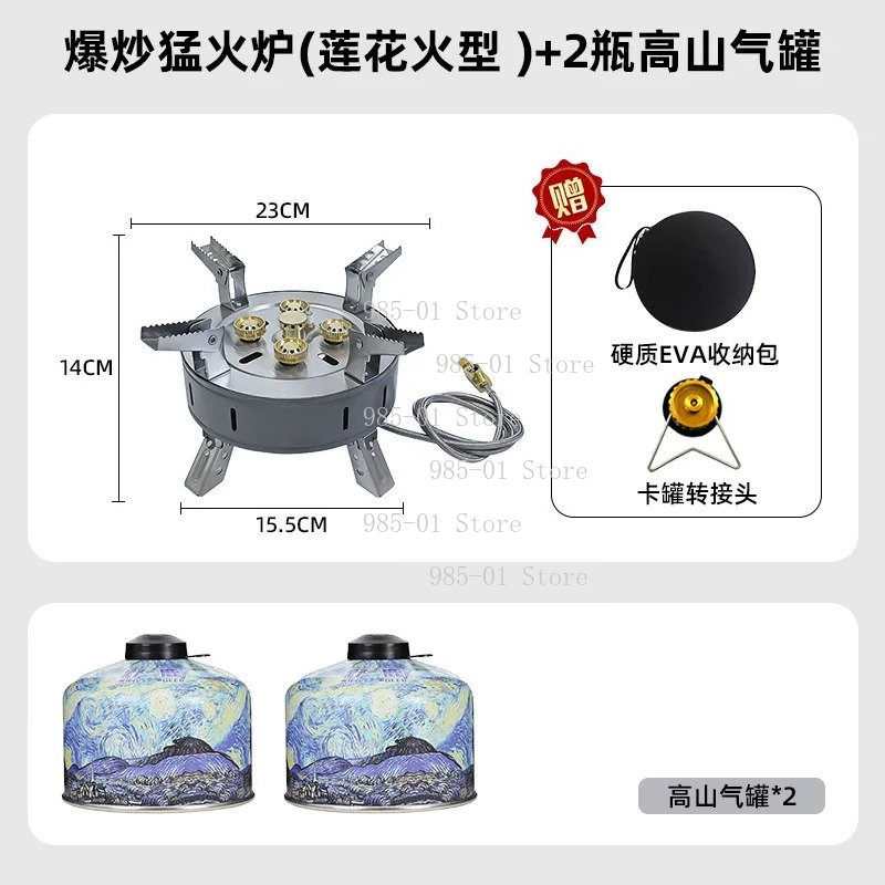 Draagbare winddichte gasfornui - Camping Cooking Fire Stove recensie en prijs