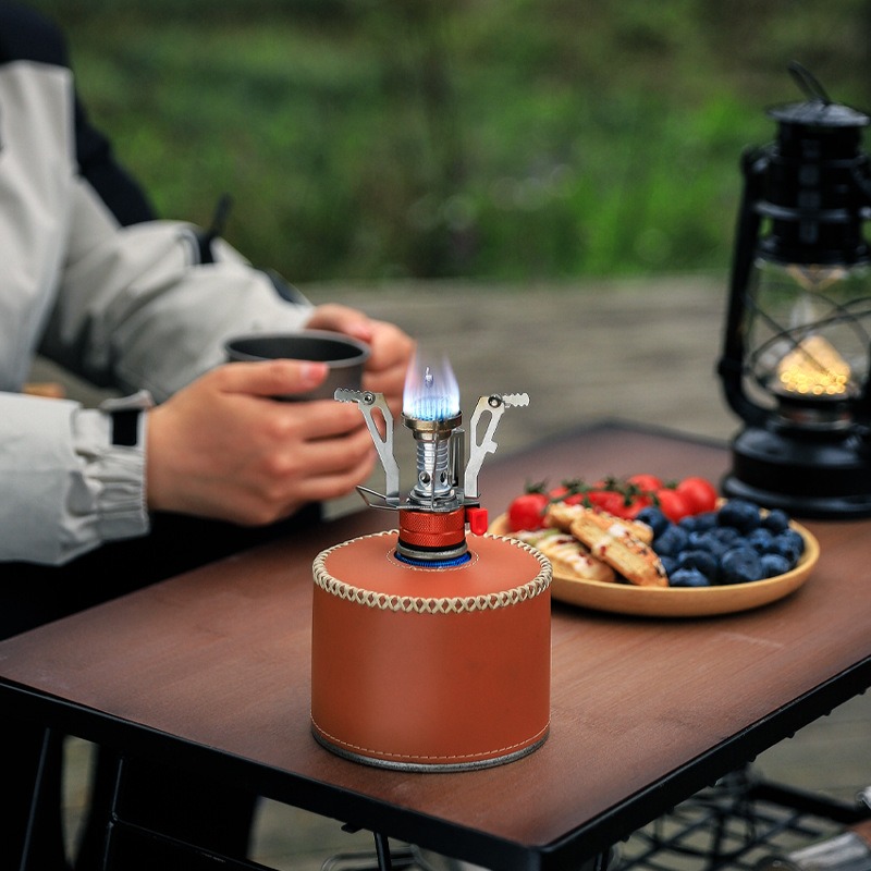 Picknick Camping Geïntegreerd  - Camping Cooking Fire Stove recensie en prijs