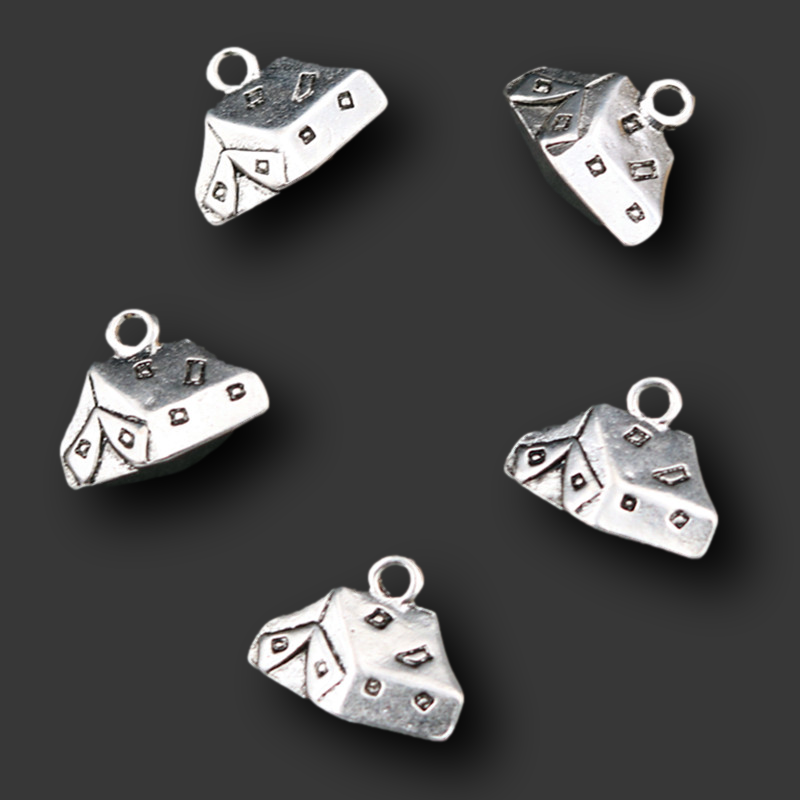 8 stks Zilver Kleur Camping St - Camping Cooking Tent recensie en prijs